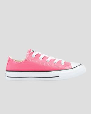 Boty Nízké Converse Chuck Taylor All Star Seasonal Colour Růžové | CV-153XQW