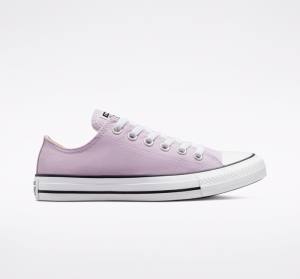 Boty Nízké Converse Chuck Taylor All Star Seasonal Color Levandule | CV-165OAT