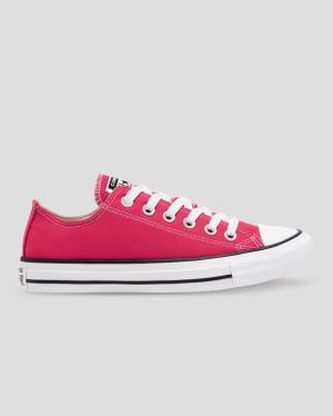 Boty Nízké Converse Chuck Taylor All Star Seasonal Colour Růžové | CV-328FUQ