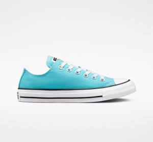 Boty Nízké Converse Chuck Taylor All Star Seasonal Color Blankyt Bílé Černé | CV-354NRV