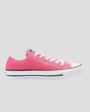 Boty Nízké Converse Chuck Taylor All Star Seasonal Colour Růžové | CV-540RFI