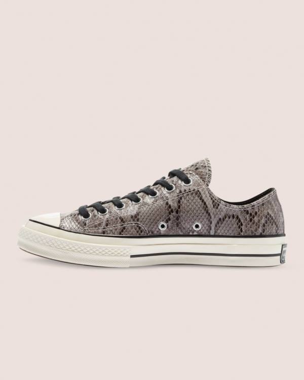 Boty Nízké Converse Chuck 70 Reptile Semišové Šedé | CV-260UHV