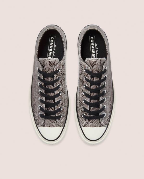 Boty Nízké Converse Chuck 70 Reptile Semišové Šedé | CV-260UHV