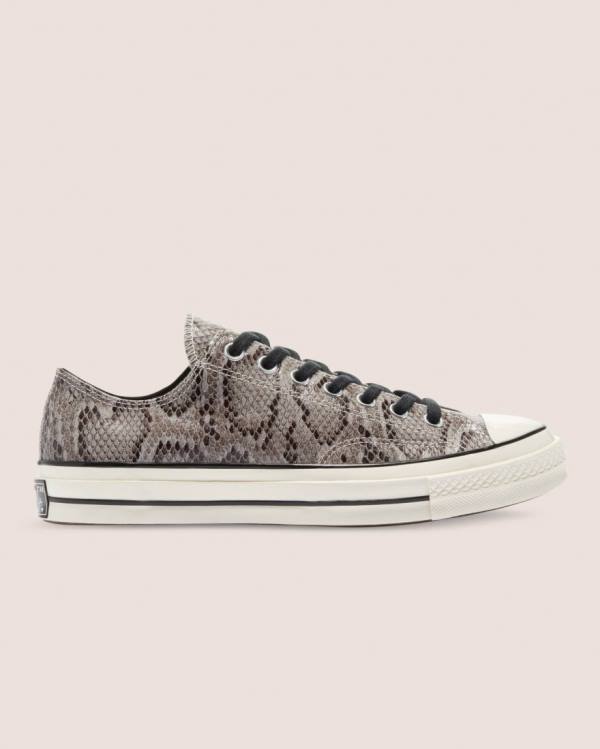 Boty Nízké Converse Chuck 70 Reptile Semišové Šedé | CV-260UHV