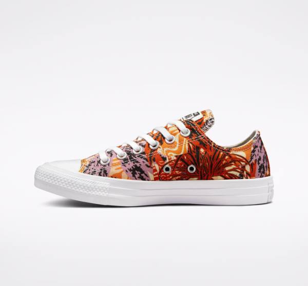 Boty Nízké Converse Chuck Taylor All Star Tropical Florals Oranžové Černé Bílé | CV-527KPD