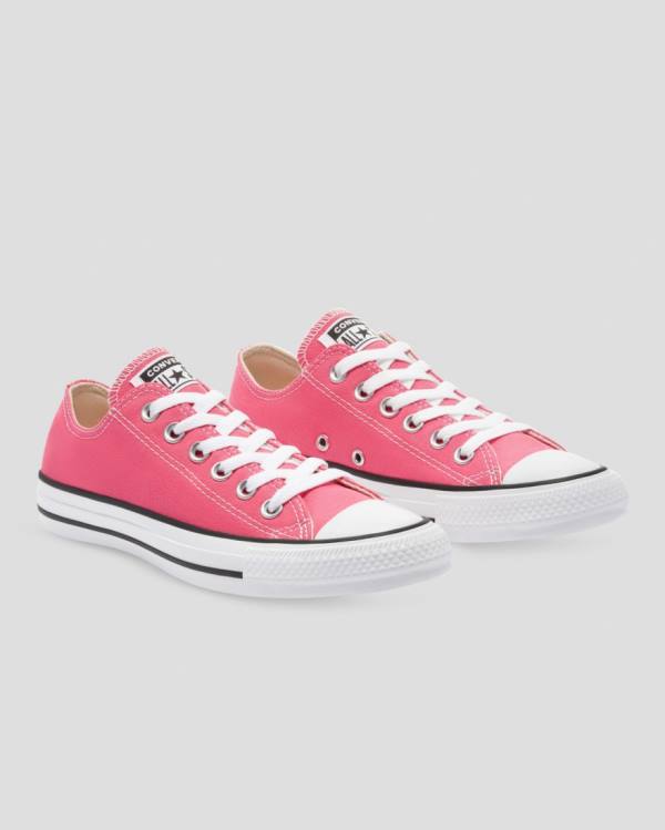 Boty Nízké Converse Chuck Taylor All Star Seasonal Colour Růžové | CV-540RFI