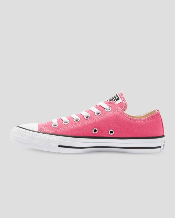 Boty Nízké Converse Chuck Taylor All Star Seasonal Colour Růžové | CV-540RFI