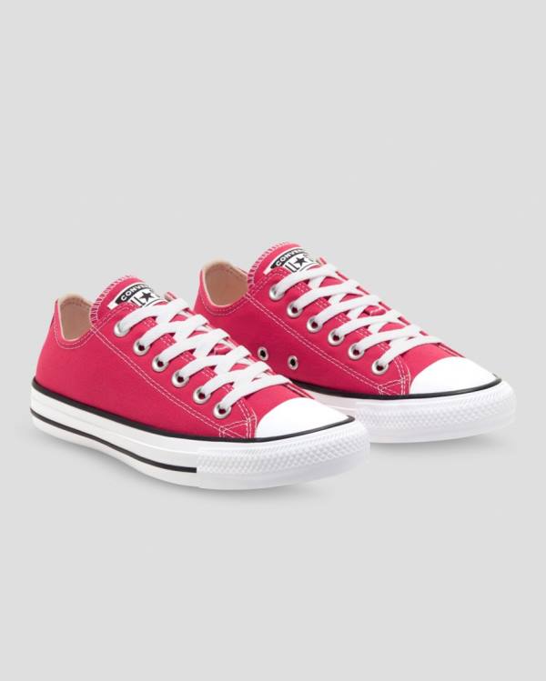 Boty Nízké Converse Chuck Taylor All Star Seasonal Colour Růžové | CV-683PZY