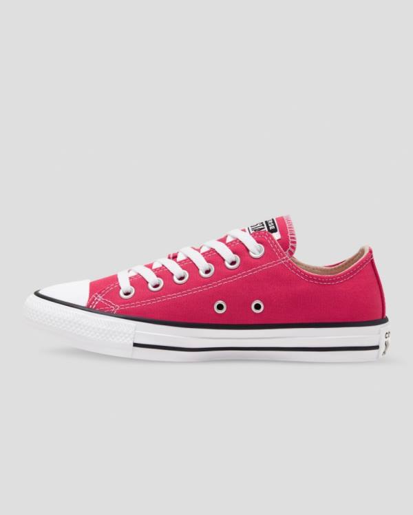 Boty Nízké Converse Chuck Taylor All Star Seasonal Colour Růžové | CV-683PZY