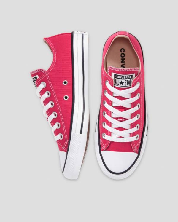 Boty Nízké Converse Chuck Taylor All Star Seasonal Colour Růžové | CV-683PZY